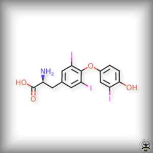 Liothyronine (T3)