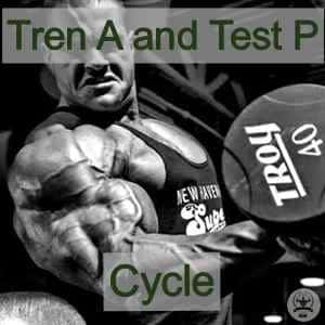 tren ace test p cycle