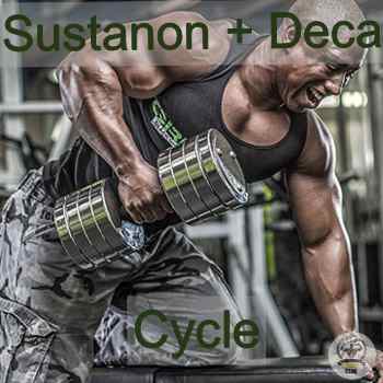 sustanon deca stack