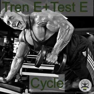 Test E Tren E Cycle