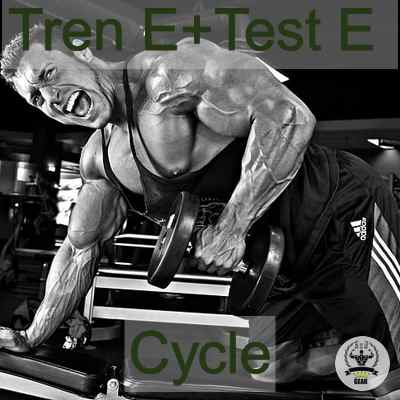 test e tren e cycle