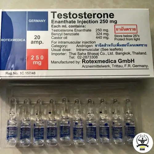 A high-quality vial of Rotexmedica Testosterone Enanthate, featuring a sleek medical-grade glass bottle with clear labeling, accompanied by a syringe, all set on a clean, clinical background.