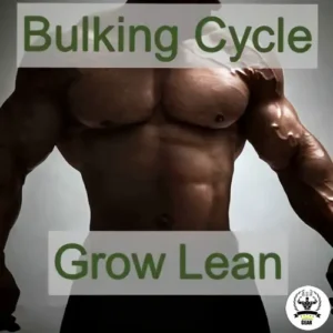 Maximize Muscle Growth With The Best Bulking Cycle. Grow Lean With Top Steroids For Bulking, Ideal For Building Lean Muscle Mass And Strength. Achieve The Best Lean Muscle Steroid Cycle Results.